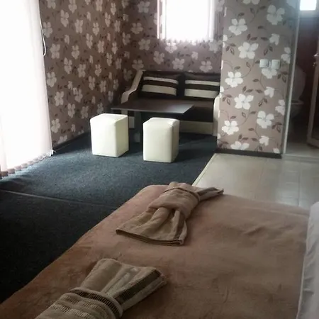 Guest house Tedi *