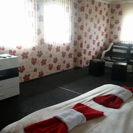 Guest house Tedi *