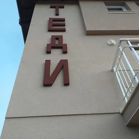 Tedi *