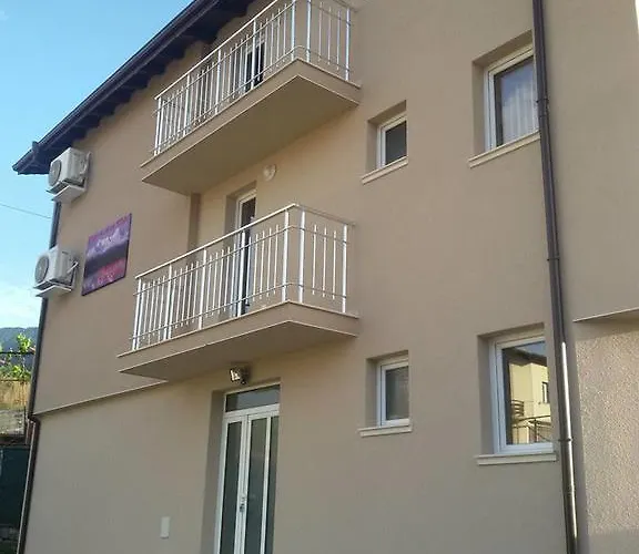 Pensjonat Tedi Saparewa Banja